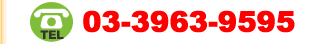 TELF03-3963-9595